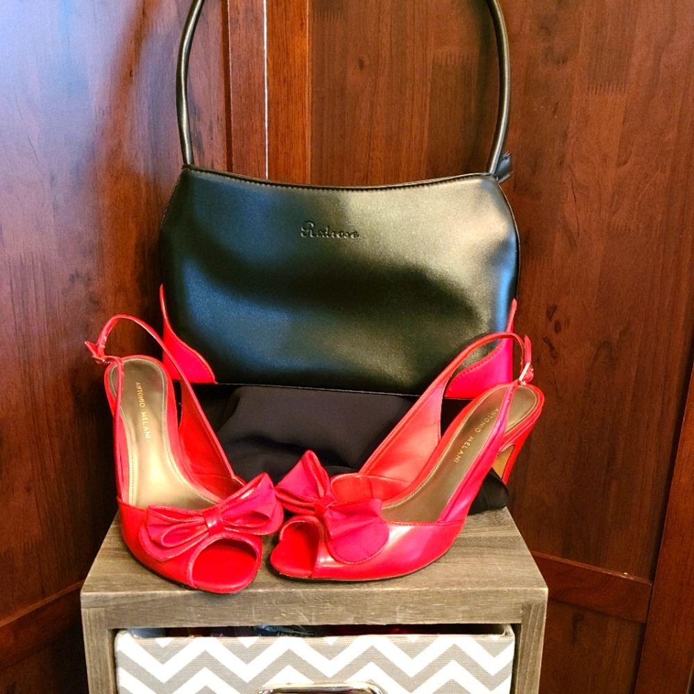 Womens purse and shoe set